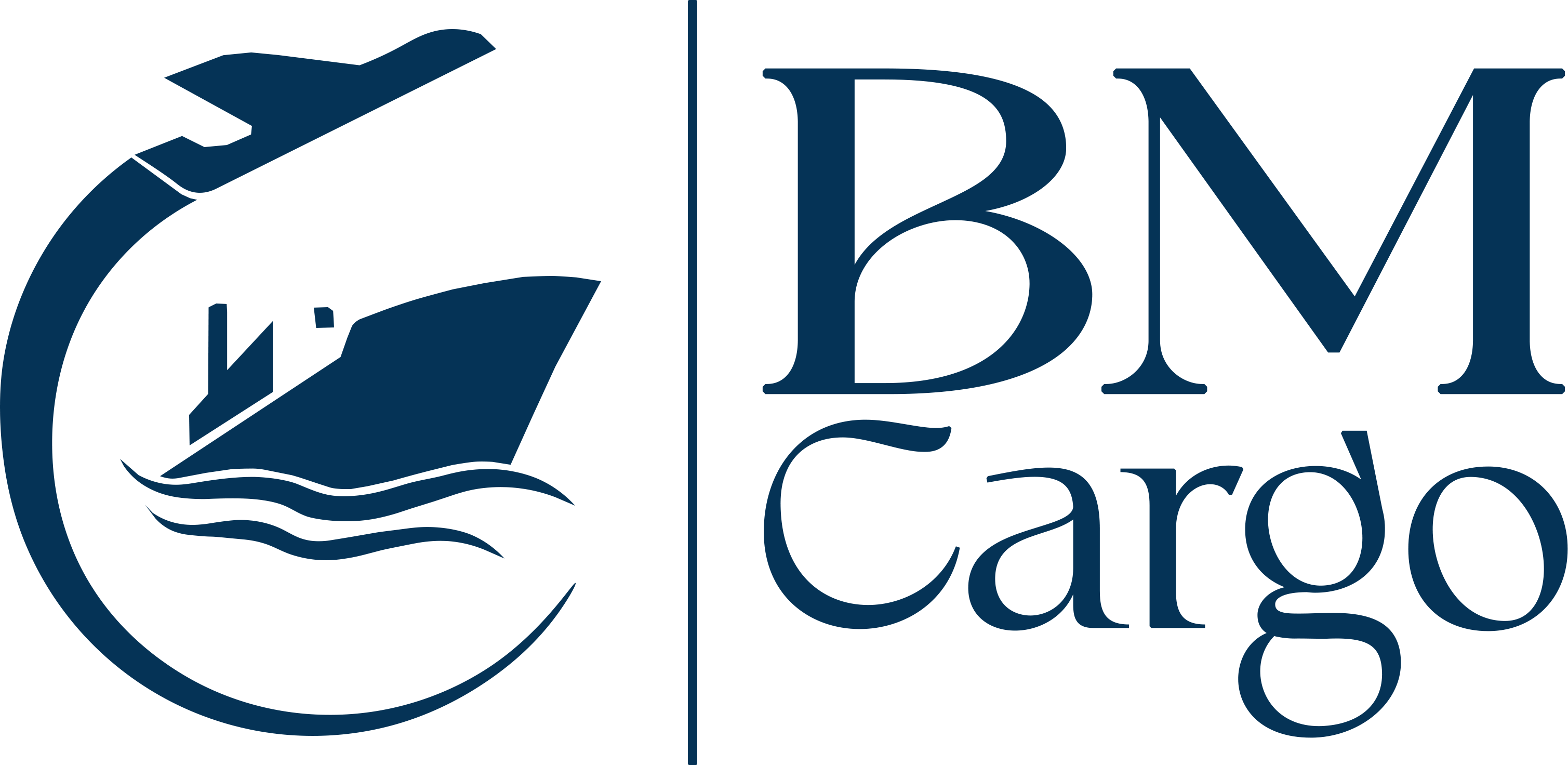 BM CARGO